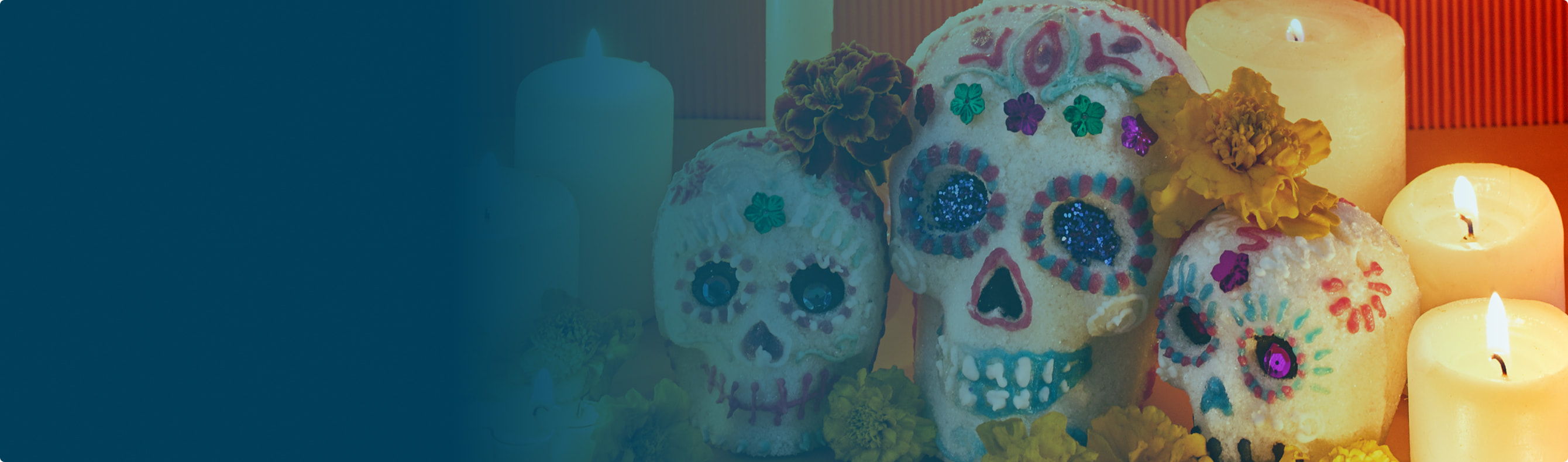 Banner image