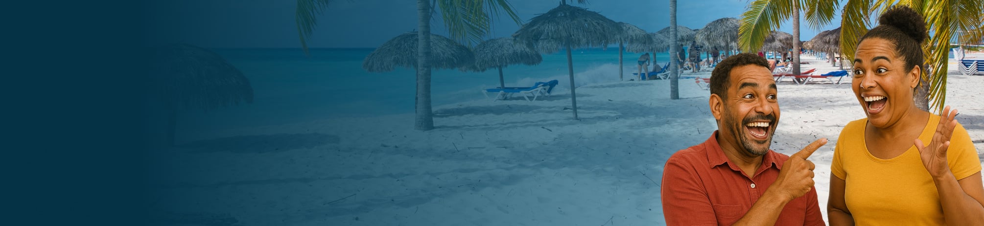 Banner image
