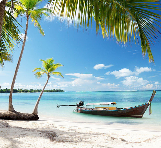 8 días de sol, diversión y playa en Punta Cana